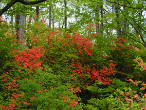 DSCN0179