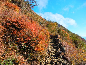 DSCN9596