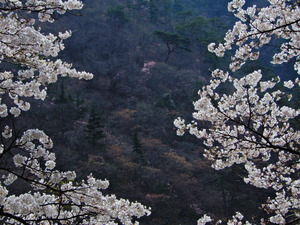 DSCN9312