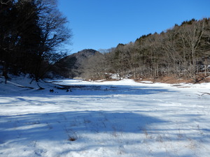 DSCN8707