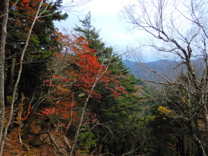 DSCN9617