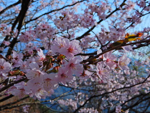 DSCN9902
