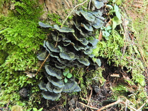 DSCN9663