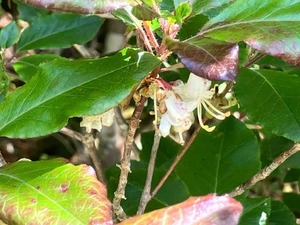 IMG_0655