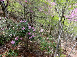 DSCN9719