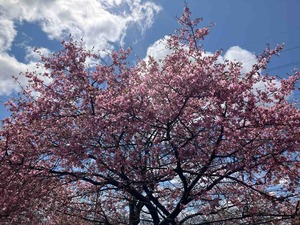 IMG_1847