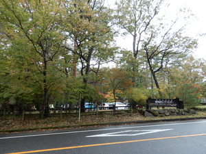 DSCN1143