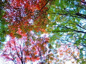 DSCN1655