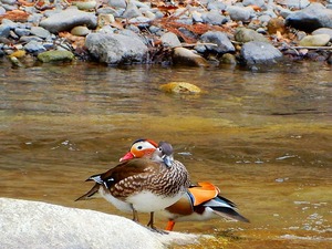 DSCN2926