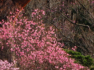 DSCN9856
