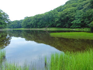 DSCN9658