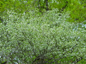 DSCN9539