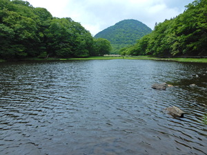 DSCN9383