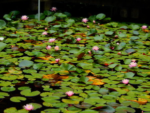 DSCN0058