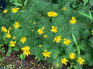 IMG_3853