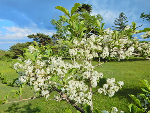 DSCN0259
