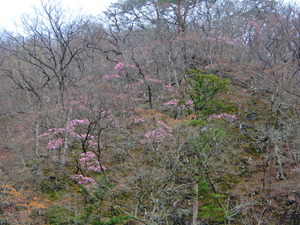 DSCN9880