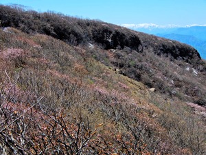 DSCN0120
