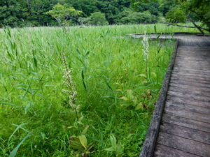 DSCN0615