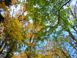 DSCN9985