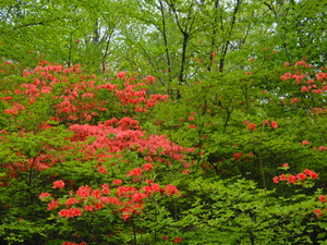 DSCN0176