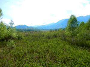 DSCN0866