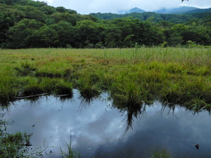DSCN1032