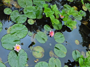 DSCN0109