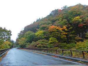 DSCN1154