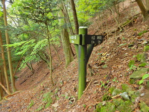 DSCN1209
