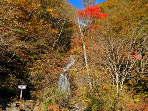 DSCN9878