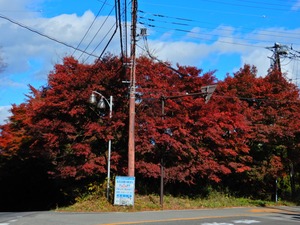 DSCN9604