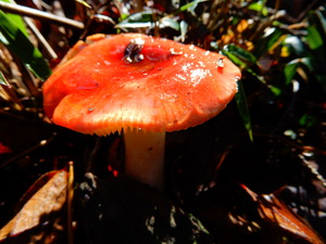 DSCN9962