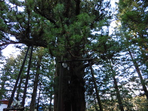 DSCN0331
