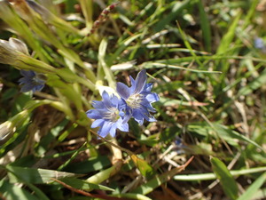 P6040057