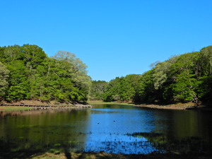 DSCN0445