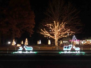 IMG_5288