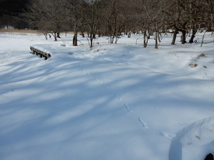DSCN0289
