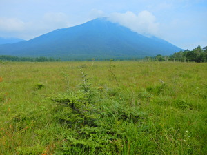 DSCN9865