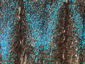 P8260051