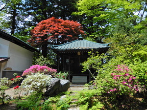 DSCN9305