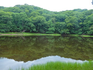 DSCN9668
