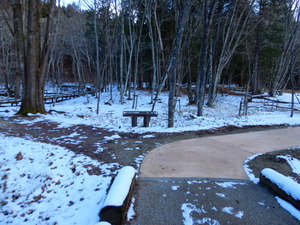 DSCN0828