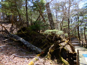 DSCN0171