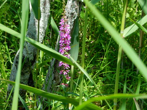 DSCN0606