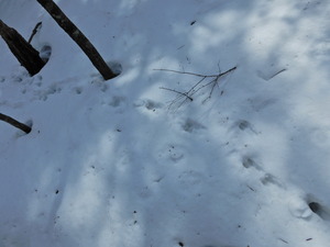 DSCN0094