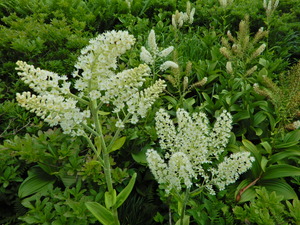 DSCN0256