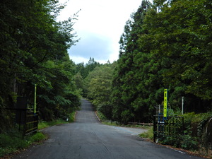 DSCN8363