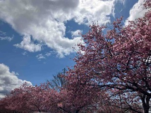 IMG_1846