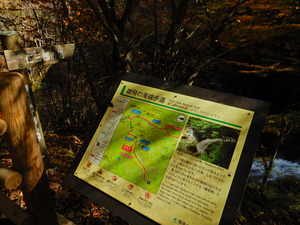 DSCN1495